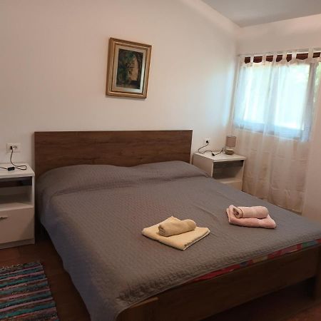 Apartman Susnjic بوريتش المظهر الخارجي الصورة